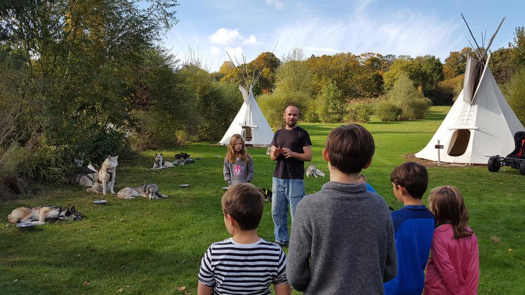 Les Tipis Du Bonheur De Vivre Hotel Brûlon Buitenkant foto