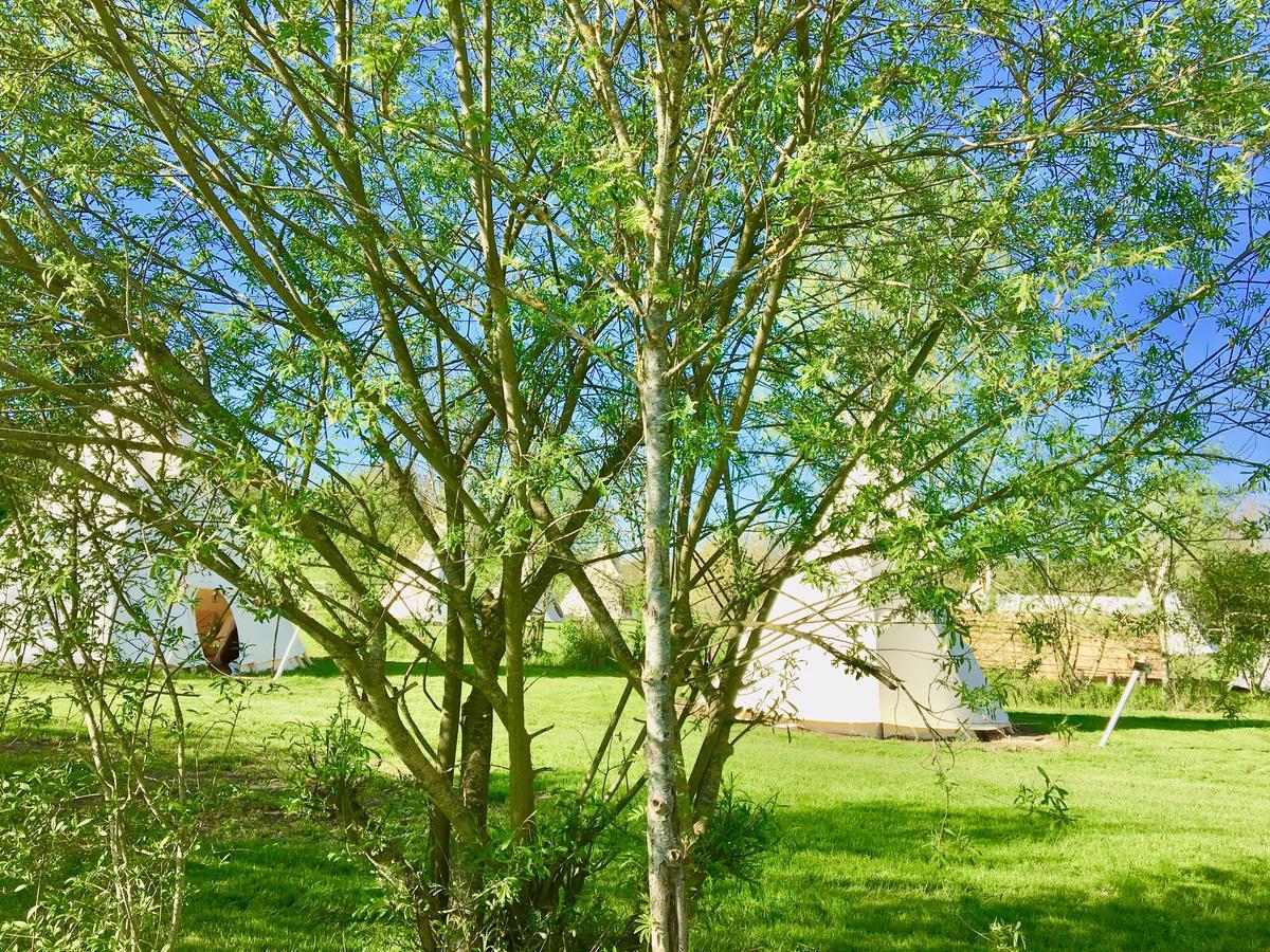 Les Tipis Du Bonheur De Vivre Hotel Brûlon Buitenkant foto